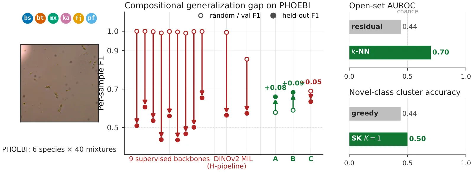Three panels: a phase-contrast field containing all six species; arrows from each model's F1 on mixtures seen in training to its F1 on unseen mixtures; bar charts for detecting and grouping an unseen species.
